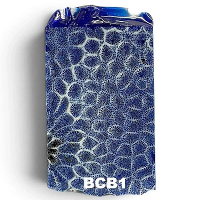 Brain Coral- BLUE- Raffir® Fossil - Maker Material Supply