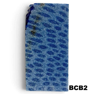 Brain Coral- BLUE- Raffir® Fossil - Maker Material Supply