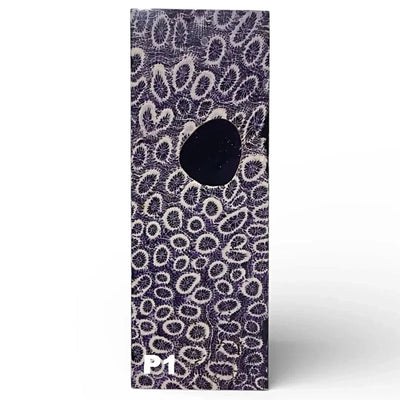 Brain Coral- PURPLE- Raffir® Fossil - Maker Material Supply