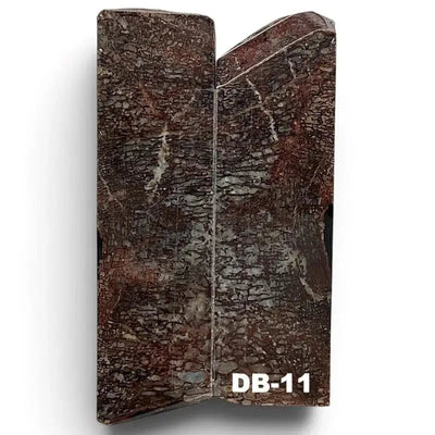Dino Bone- Stabilized by Raffir®- ~1/4" Thickness - Maker Material Supply