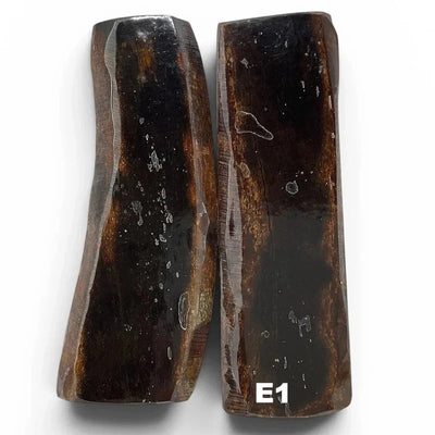 Giant Deer Antler- IRISH ELK- Stabilized- Raffir® Fossils - Maker Material Supply