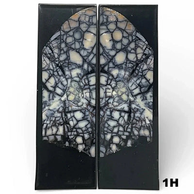 Mammoth Ivory Tusk- HYBRID CROSSCUT w Black Resin- by RaffirĀ® - Maker Material Supply