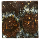 Mammoth Molar Jewelry Sets- 1/8" x 0.9" x 1.8"- NATURAL- Raffir® Fossils - Maker Material Supply