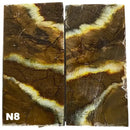 Mammoth Molar Jewelry Sets- 1/8" x 0.9" x 1.8"- NATURAL- Raffir® Fossils - Maker Material Supply