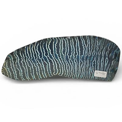 Mammoth Molar Large Tooth- BLUE- Raffir® Fossils- MMLT1 - Maker Material Supply