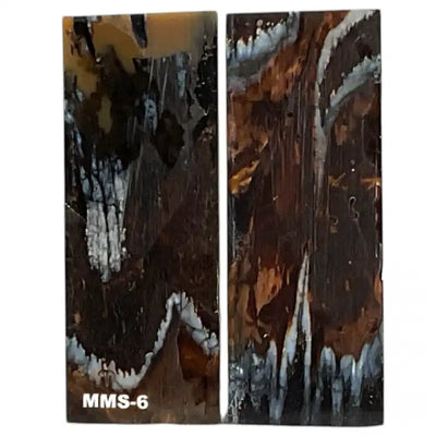 Mammoth Molar Scales- 1.3"(W) x 3.7"(L)- NATURAL- Raffir® Fossils - Maker Material Supply