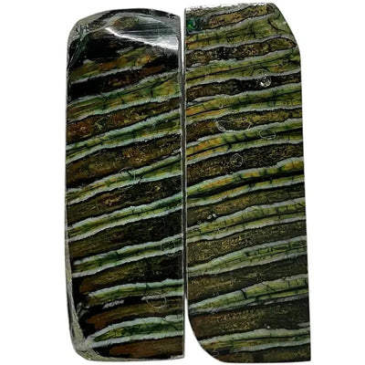 Mammoth Molar Scales- GREEN- .18" x 1.6" x 4.8"- Raffir® Fossils- MMS8 - Maker Material Supply