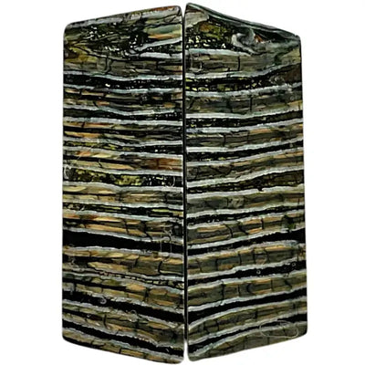 Mammoth Molar Scales- GREEN- .23" x 1.4" x 3.9"- RaffirÂŽ Fossils- MMS11 - Maker Material Supply