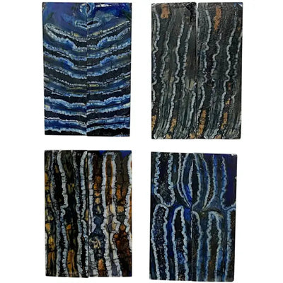 Mammoth Molar Small Sets- 1/8" x 1" x 3"- BLUE- Raffir® Fossils - Maker Material Supply