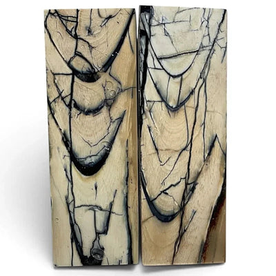 Mammoth Tusk Ivory Scales- .23" x 1.5" x 4.9"- Raffir® Fossils- MTI91Hobbies & Creative Arts