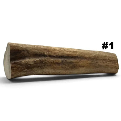 Moose Antler Rolls - Maker Material Supply