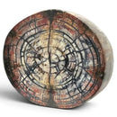 Mammoth Tusk Ivory Crosscut Round- .87" x 3.0" x 3.6"- Raffir® Fossils- MTI51
