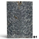 Brain Coral- BLACK- Raffir® Fossil - Maker Material Supply