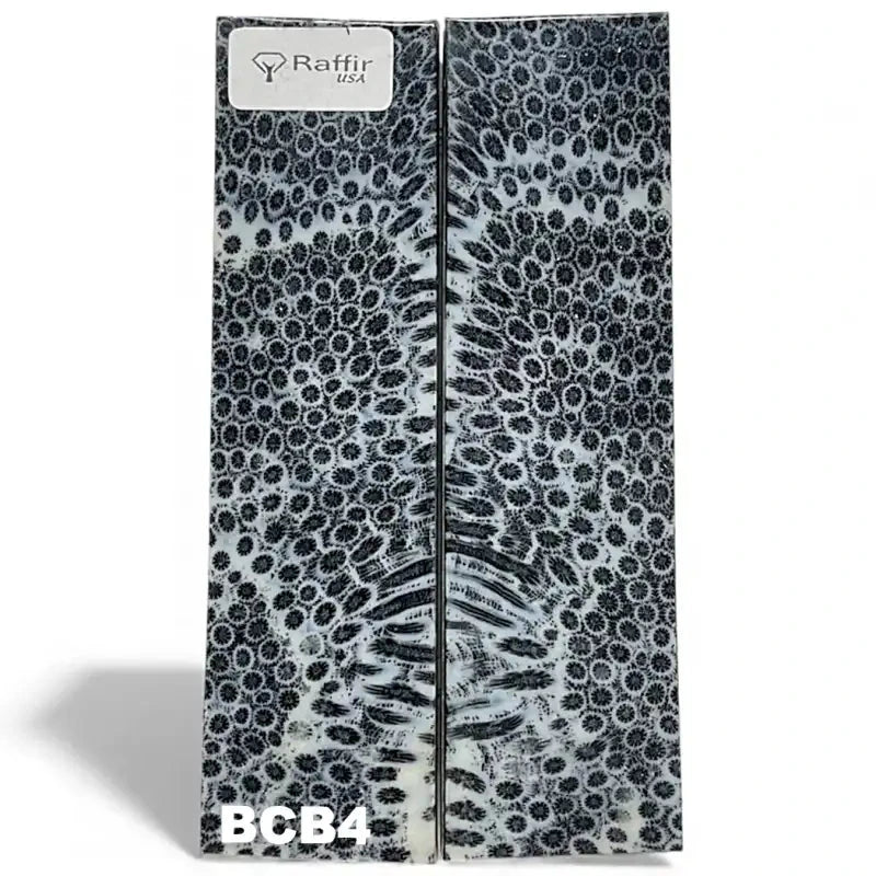 Brain Coral- BLACK- Raffir® FossilHobbies & Creative Arts.28" x 1.35" x 5"-BCB4 (scales)
