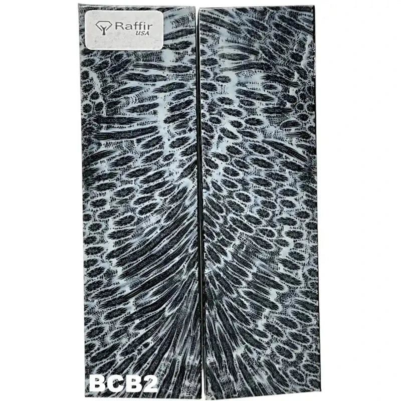Brain Coral- BLACK- Raffir® FossilHobbies & Creative Arts.28" x 1.45" x 5"- BCB2 (scales)