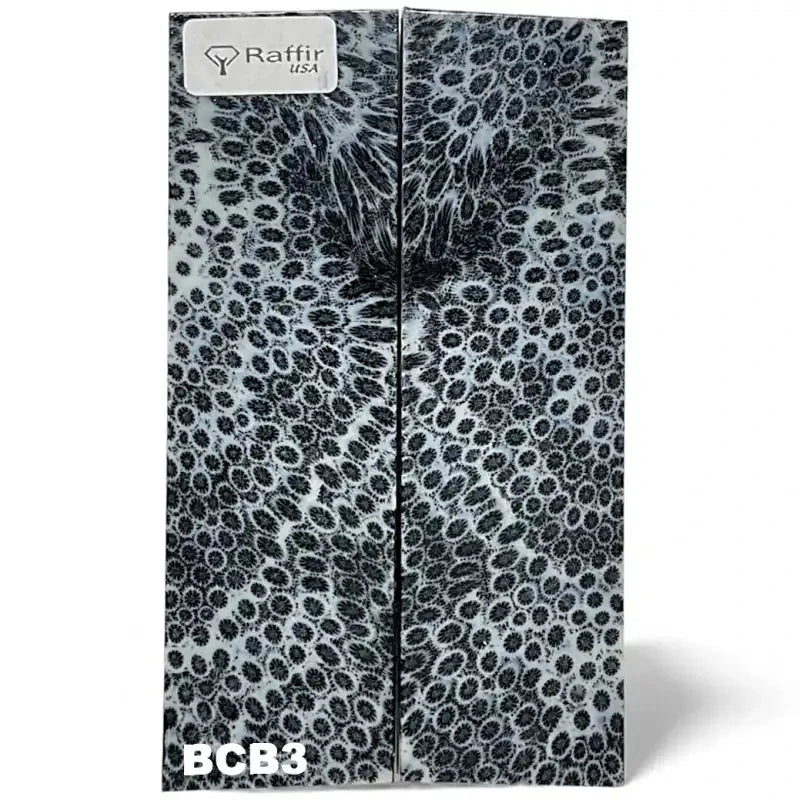 Brain Coral- BLACK- Raffir® FossilHobbies & Creative Arts.28" x 1.45" x 5"- BCB3 (scales)