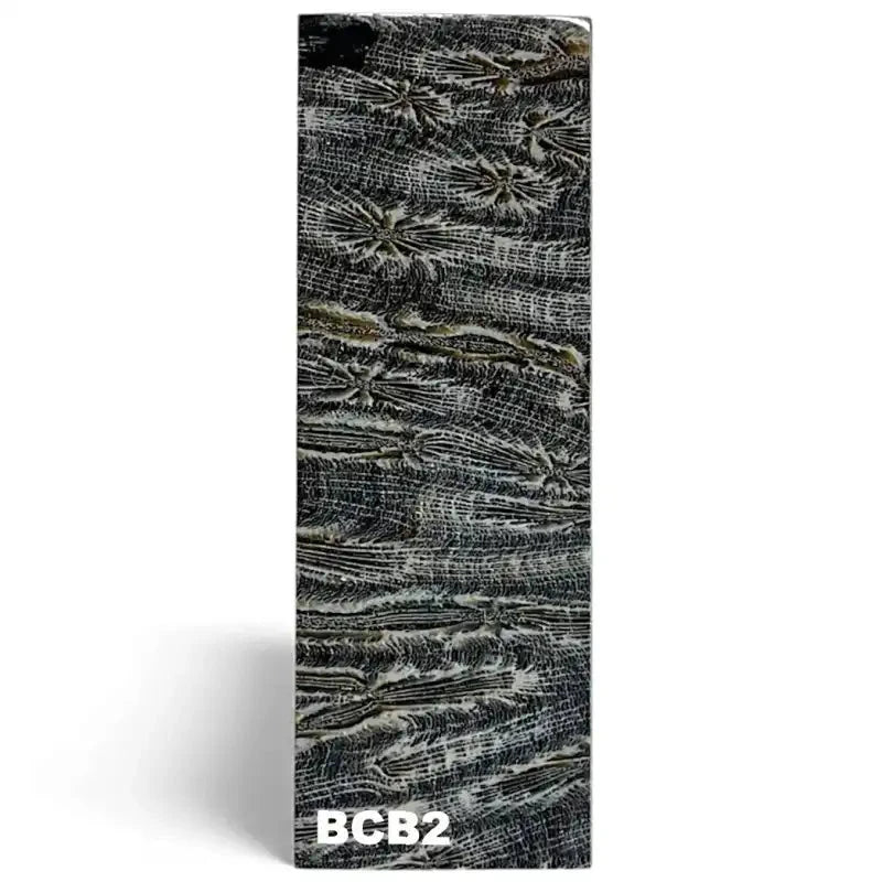 Brain Coral- BLACK- Raffir® FossilHobbies & Creative Arts.28" x 1.6" x 4.8"- BCB2 (single)