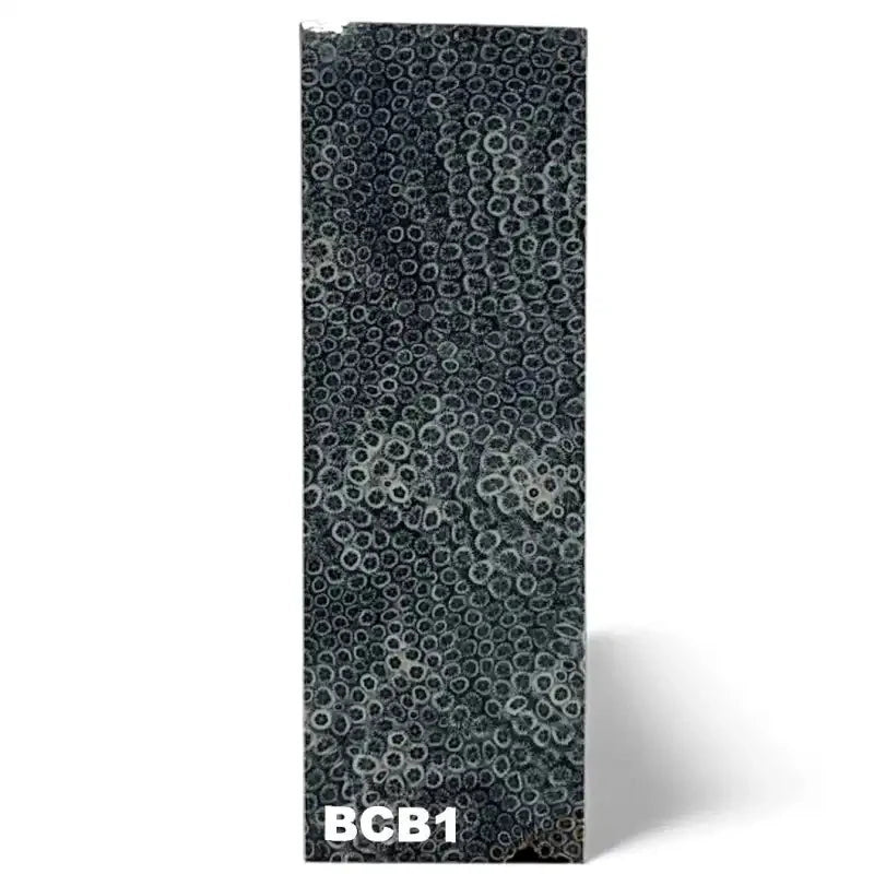 Brain Coral- BLACK- Raffir® FossilHobbies & Creative Arts.29" x 1.6" x 4.7"- BCB1 (single)