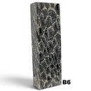 Brain Coral- BLACK- Raffir® Fossil - Maker Material Supply
