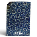 Brain Coral- BLUE- Raffir® Fossil - Maker Material Supply