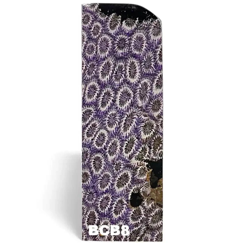 Brain Coral- PURPLE- Raffir® FossilHobbies & Creative Arts.26" x 1.6" x 4.2"- BCB8 (single)