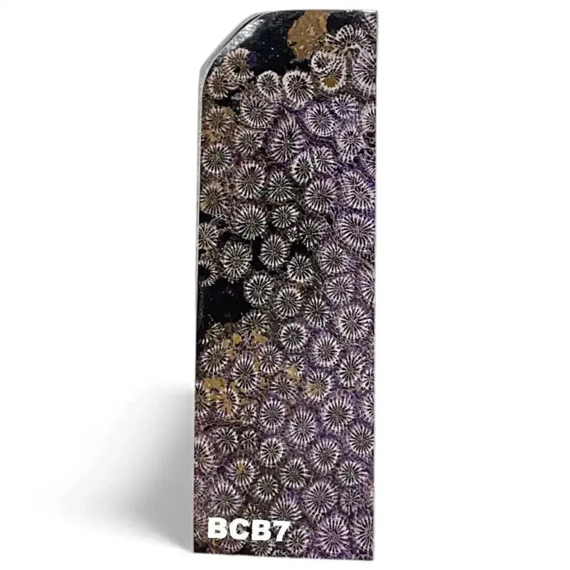 Brain Coral- PURPLE- Raffir® FossilHobbies & Creative Arts.30" x 1.6" x 4.2"- BCB7 (single)