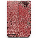 Brain Coral- RED- Raffir® Fossil - Maker Material Supply