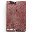 Brain Coral- RED- Raffir® Fossil - Maker Material Supply