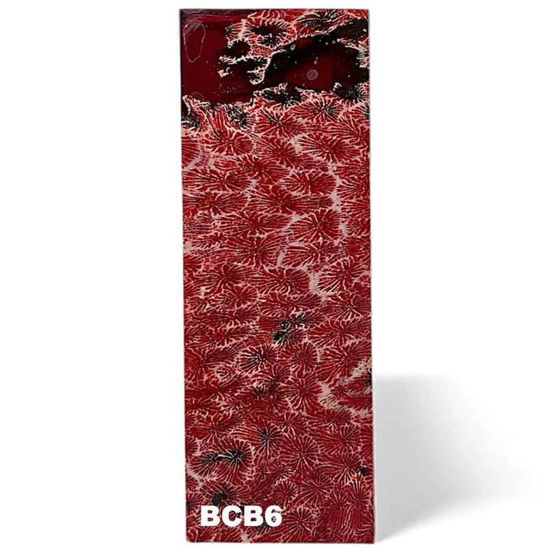 Brain Coral- RED- Raffir® FossilHobbies & Creative Arts.28" x 1.6" x 4.8"- BCB6 (single)