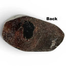 Dino Bone Large Block- Stabilized by Raffir®Hobbies & Creative Arts