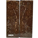 Dino Bone- Natural- Stabilized by Raffir® - Maker Material Supply