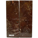 Dino Bone- Natural- Stabilized by Raffir® - Maker Material Supply