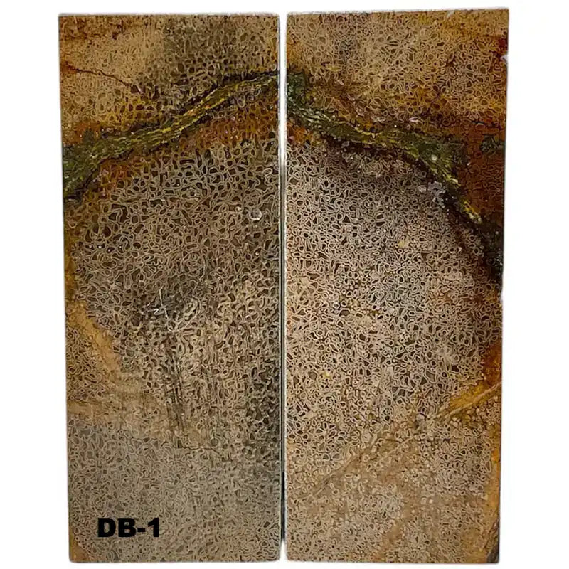 Dino Bone- Natural- Stabilized by Raffir - Maker Material Supply