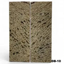Dino Bone- Stabilized by Raffir®- ~1/4" ThicknessHobbies & Creative Arts
