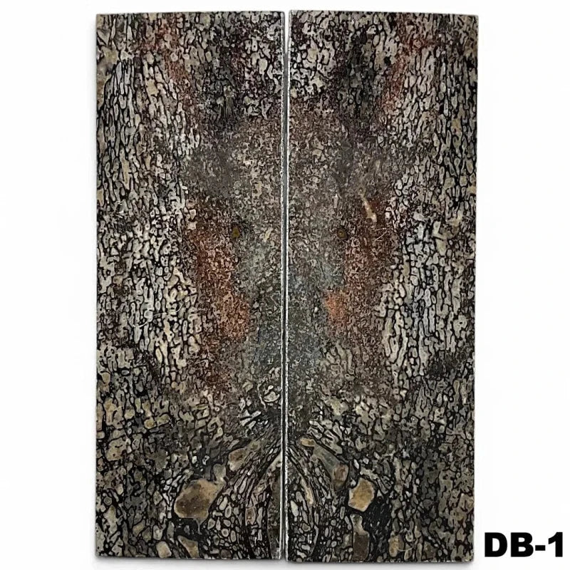 Dino Bone- Stabilized by Raffir®- ~1/4" ThicknessHobbies & Creative Arts.25" x 1.6" x 4.7"- DB-1