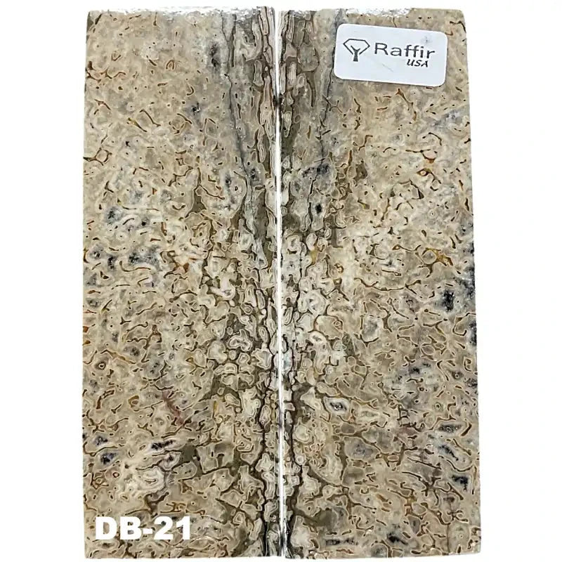Dino Bone- Stabilized by Raffir®- ~1/4" Thickness - Maker Material Supply