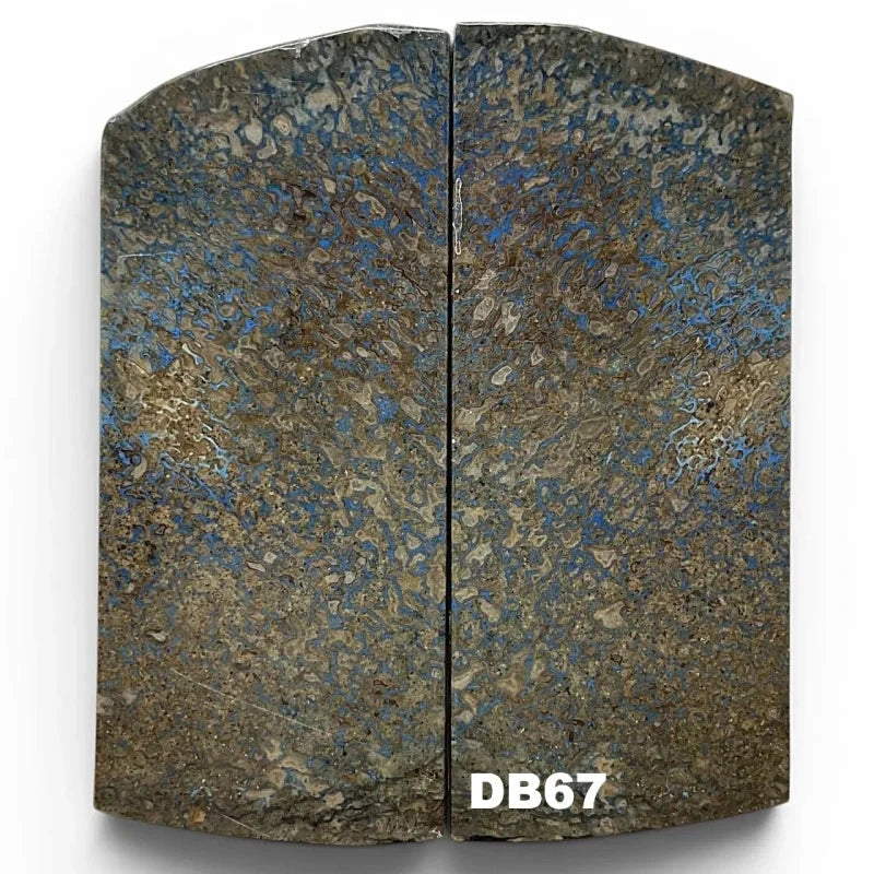 Dino Bone- Stabilized by Raffir®- ~3/16" Thickness - Maker Material Supply