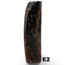 Giant Deer Antler- IRISH ELK- Stabilized- Raffir® Fossils - Maker Material Supply