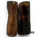 Giant Deer Antler- IRISH ELK- Stabilized- Raffir® Fossils - Maker Material Supply
