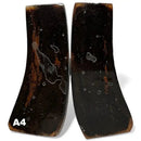 Giant Deer Antler Scales- IRISH ELK- Stabilized- Raffir® FossilsHobbies & Creative Arts.27" x 1.6-2.1" x 5.3"- A4