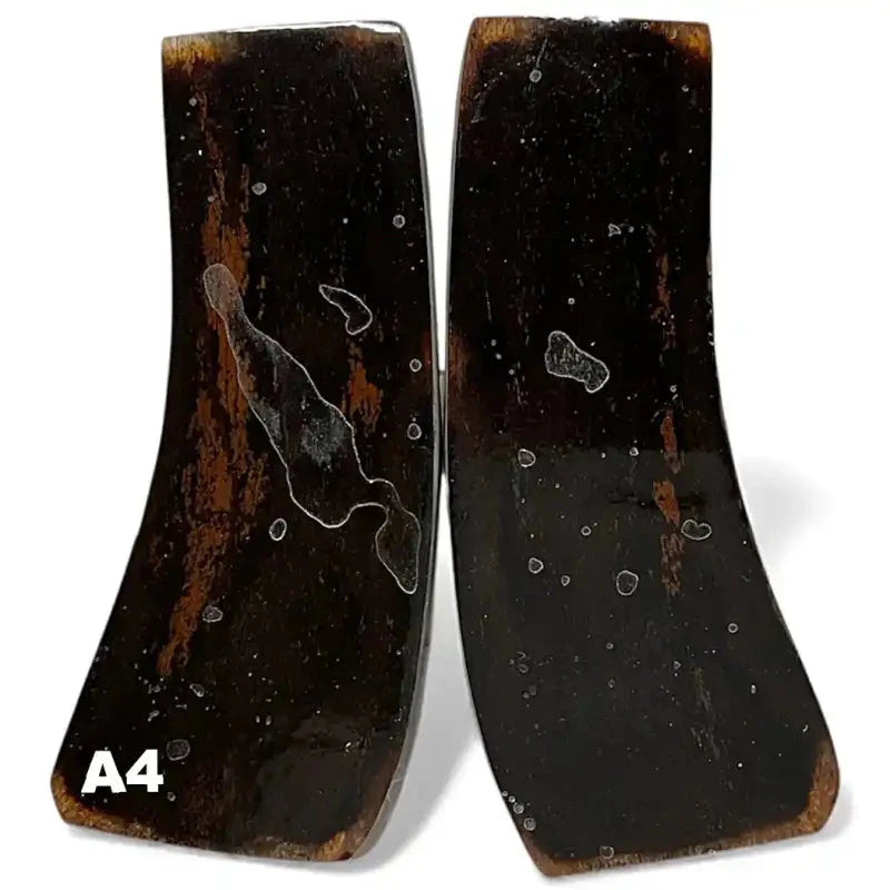 Giant Deer Antler Scales- IRISH ELK- Stabilized- Raffir® FossilsHobbies & Creative Arts.27" x 1.6-2.1" x 5.3"- A4