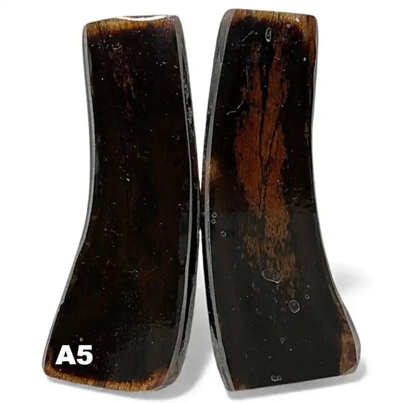 Giant Deer Antler Scales- IRISH ELK- Stabilized- Raffir® FossilsHobbies & Creative Arts.28" x 1.2-1.7" x 5.2"- A5