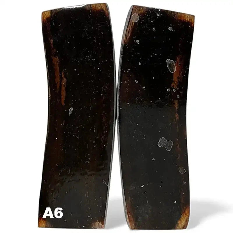 Giant Deer Antler Scales- IRISH ELK- Stabilized- Raffir® FossilsHobbies & Creative Arts.29" x 1.5" x 5.1"- A6