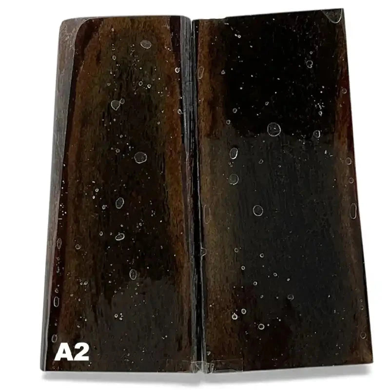 Giant Deer Antler Scales- IRISH ELK- Stabilized- Raffir® FossilsHobbies & Creative Arts.32" x 1.4-2.3" x 4.7"- A2