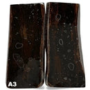 Giant Deer Antler Scales- IRISH ELK- Stabilized- Raffir® FossilsHobbies & Creative Arts.36" x 1.7-2.4" x 5.0"- A3