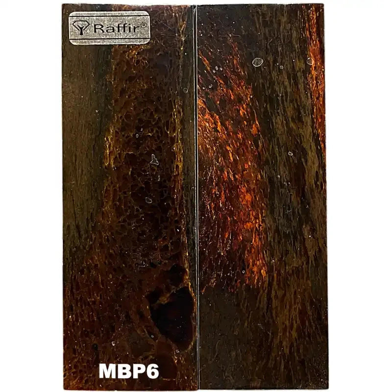 Mammoth Bone Scales- PREMIUM- Stabilized- Raffir® FossilsHobbies & Creative Arts.25" x 1.5" x 4.7"- MBP6