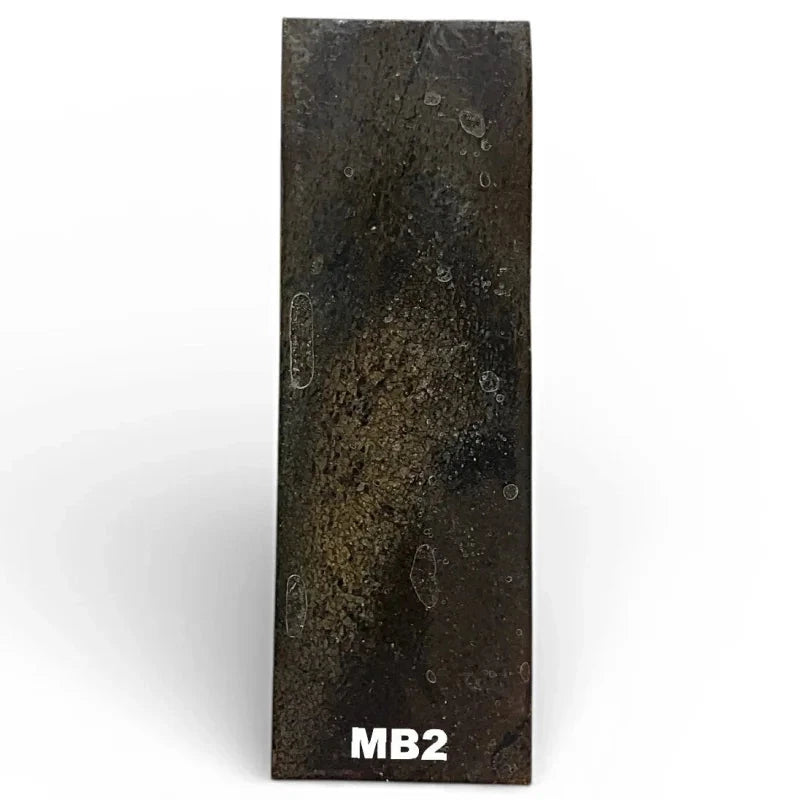 Mammoth Bone Slab- PREMIUM- Stabilized- Raffir® Fossils