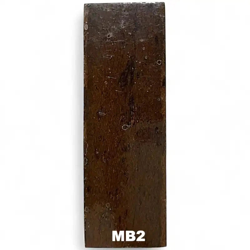 Mammoth Bone Slab- PREMIUM- Stabilized- Raffir® FossilsHobbies & Creative Arts.24" x 1.6" x 4.8"- MB2