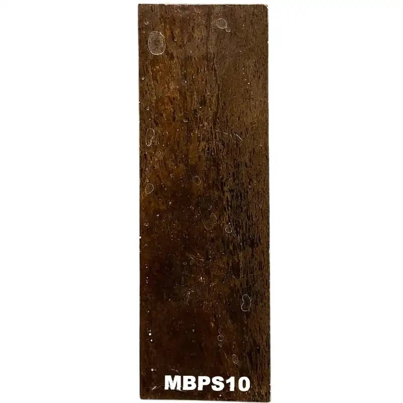 Mammoth Bone Slab- PREMIUM- Stabilized- Raffir® Fossils - Maker Material Supply