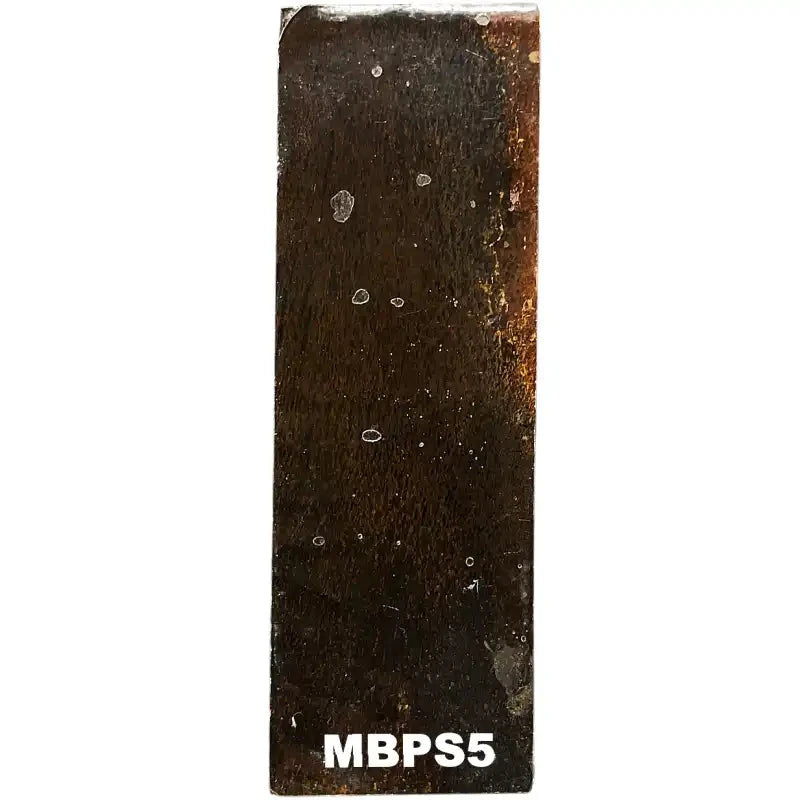 Mammoth Bone Slab- PREMIUM- Stabilized- Raffir® Fossils - Maker Material Supply